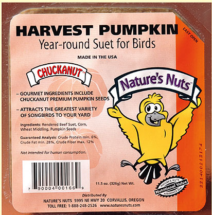 harvest pumpkin